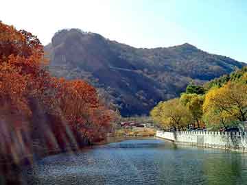 澳门今晚一肖必中特，蒙山网站建设